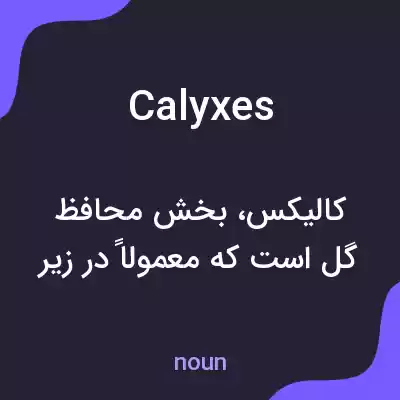 معنی calyxes به فارسی