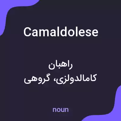 معنی camaldolese به فارسی معنی camaldolese به فارسی