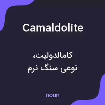 معنی camaldolite به فارسی معنی camaldolite به فارسی