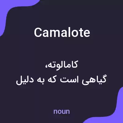 معنی camalote به فارسی معنی camalote به فارسی