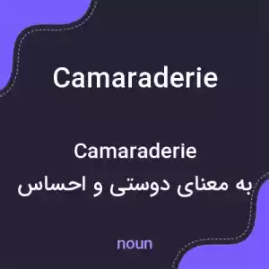 معنی camaraderie به فارسی