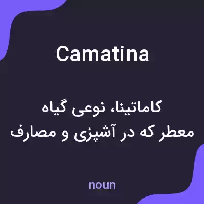 معنی camatina به فارسی معنی camatina به فارسی