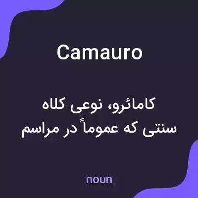 معنی camauro به فارسی معنی camauro به فارسی