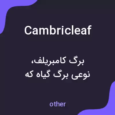 معنی cambricleaf به فارسی معنی cambricleaf به فارسی