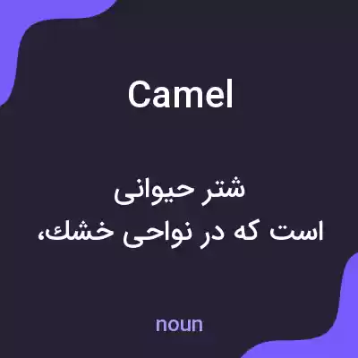 معنی camel به فارسی معنی camel به فارسی