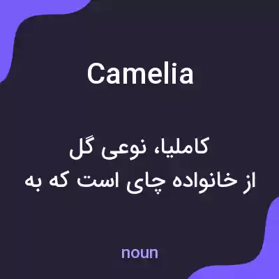 معنی camelia به فارسی معنی camelia به فارسی