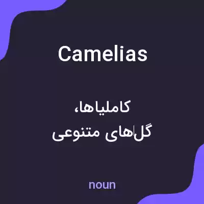 معنی camelias به فارسی معنی camelias به فارسی