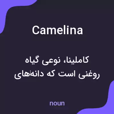 معنی camelina به فارسی معنی camelina به فارسی