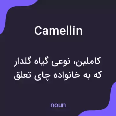 معنی camellin به فارسی معنی camellin به فارسی