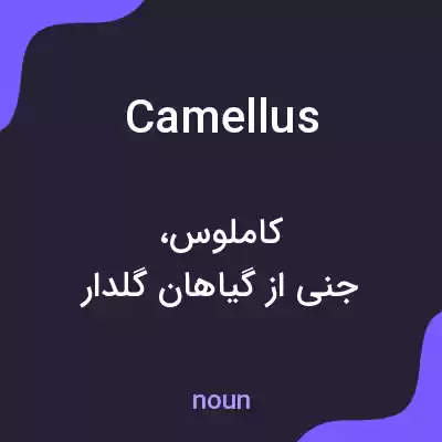 معنی camellus به فارسی معنی camellus به فارسی