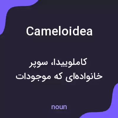 معنی cameloidea به فارسی معنی cameloidea به فارسی