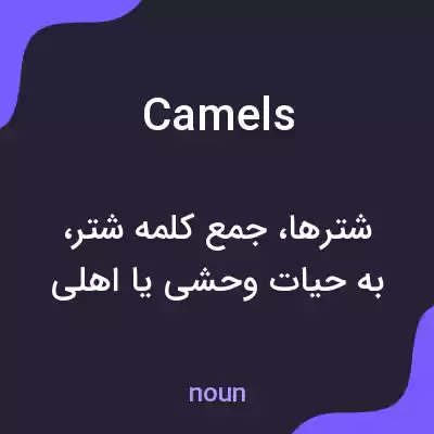 معنی camels به فارسی