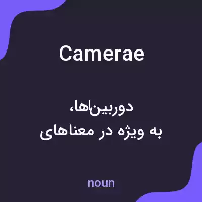 معنی camerae به فارسی معنی camerae به فارسی