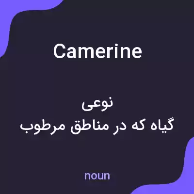 معنی camerine به فارسی معنی camerine به فارسی