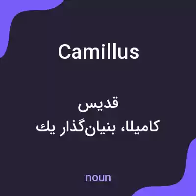 معنی camillus به فارسی معنی camillus به فارسی