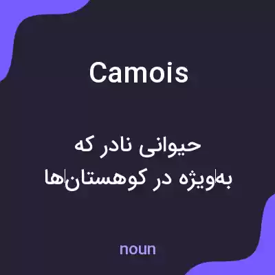 معنی camois به فارسی معنی camois به فارسی