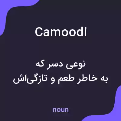 معنی camoodi به فارسی معنی camoodi به فارسی