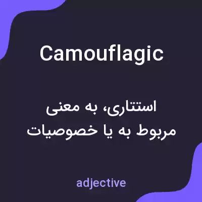 معنی camouflagic به فارسی معنی camouflagic به فارسی