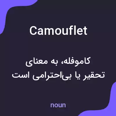 معنی camouflet به فارسی معنی camouflet به فارسی