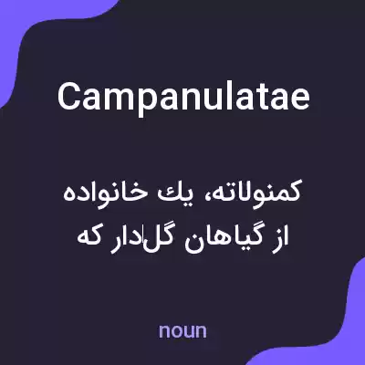 معنی campanulatae به فارسی