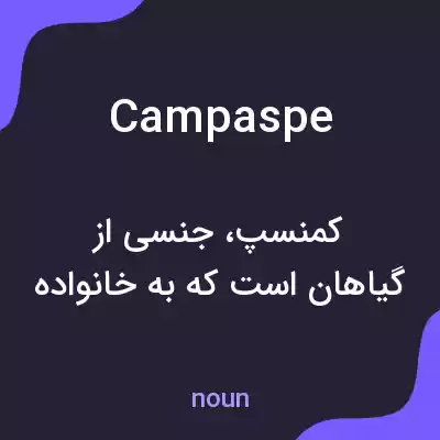 معنی campaspe به فارسی معنی campaspe به فارسی