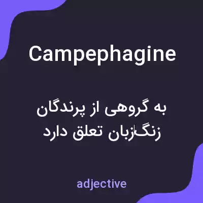 معنی campephagine به فارسی معنی campephagine به فارسی