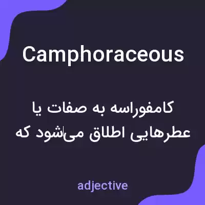 معنی camphoraceous به فارسی معنی camphoraceous به فارسی