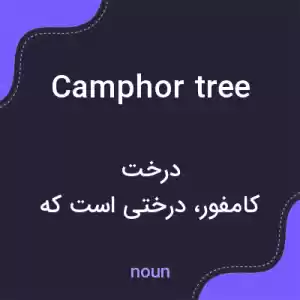 معنی camphor tree به فارسی معنی camphor tree به فارسی
