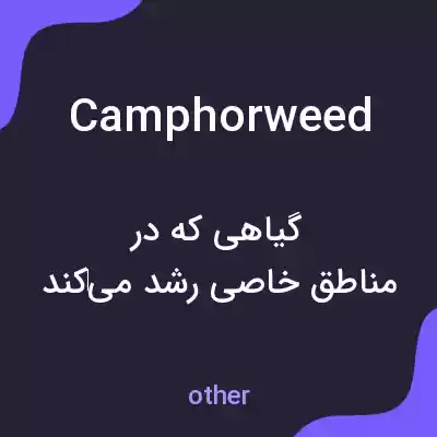 معنی camphorweed به فارسی معنی camphorweed به فارسی