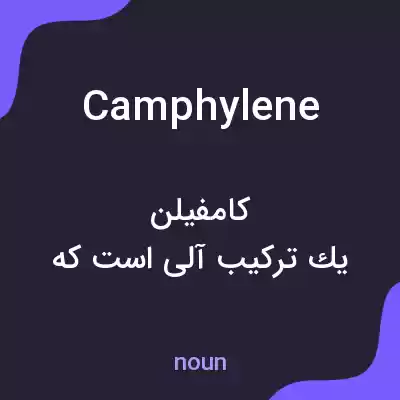 معنی camphylene به فارسی معنی camphylene به فارسی