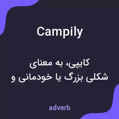 معنی campily به فارسی معنی campily به فارسی