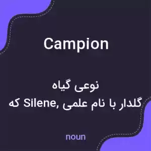 معنی campion به فارسی معنی campion به فارسی