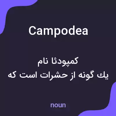 معنی campodea به فارسی معنی campodea به فارسی