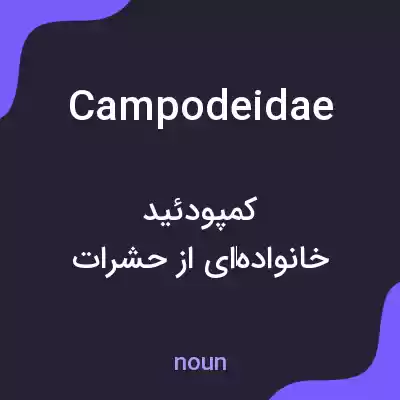 معنی campodeidae به فارسی معنی campodeidae به فارسی