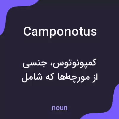 معنی camponotus به فارسی معنی camponotus به فارسی