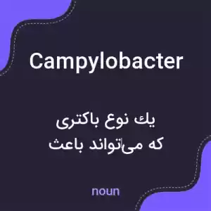 معنی campylobacter به فارسی معنی campylobacter به فارسی