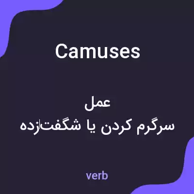 معنی camuses به فارسی معنی camuses به فارسی