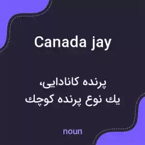 معنی canada jay به فارسی