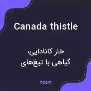 معنی canada thistle به فارسی