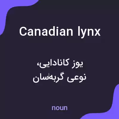 معنی canadian lynx به فارسی معنی canadian lynx به فارسی
