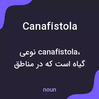 معنی canafistola به فارسی معنی canafistola به فارسی