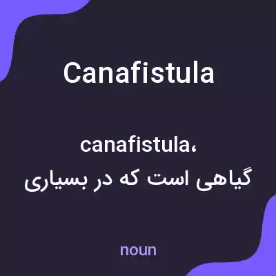 معنی canafistula به فارسی معنی canafistula به فارسی