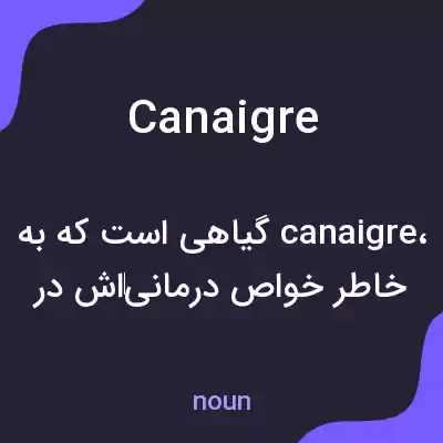 معنی canaigre به فارسی معنی canaigre به فارسی