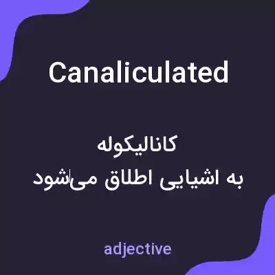 معنی canaliculated به فارسی معنی canaliculated به فارسی