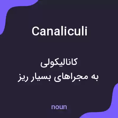 معنی canaliculi به فارسی