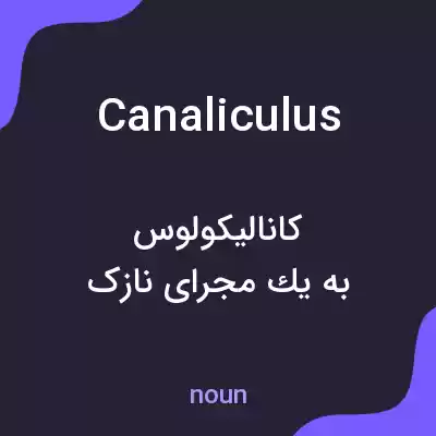 معنی canaliculus به فارسی معنی canaliculus به فارسی
