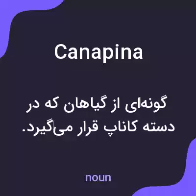 معنی canapina به فارسی معنی canapina به فارسی