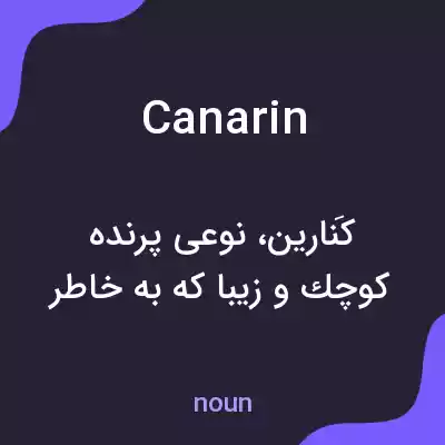 معنی canarin به فارسی معنی canarin به فارسی