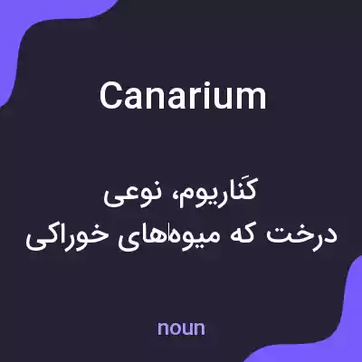 معنی canarium به فارسی معنی canarium به فارسی