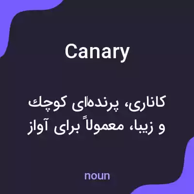 معنی canary به فارسی معنی canary به فارسی